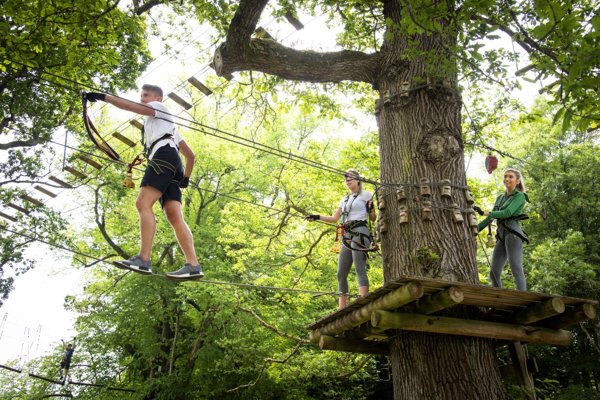 Visitors navigating a treetop adventure course at Lough Key Forest Park