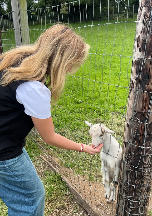 Visitor feeding a young goat at Glendeer Pet Farm near Athlone