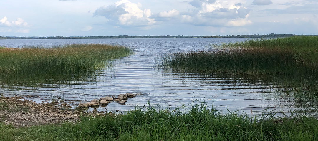 The view of Lough Ree at Yew Point Estate