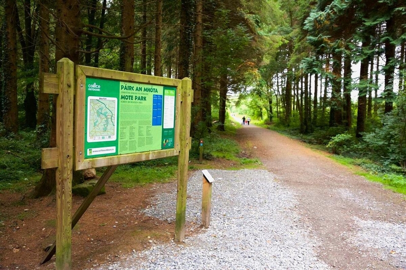 Entrance to Mote Park Trails featuring a forest walking path, woodland scenery and trail information board near Roscommon.